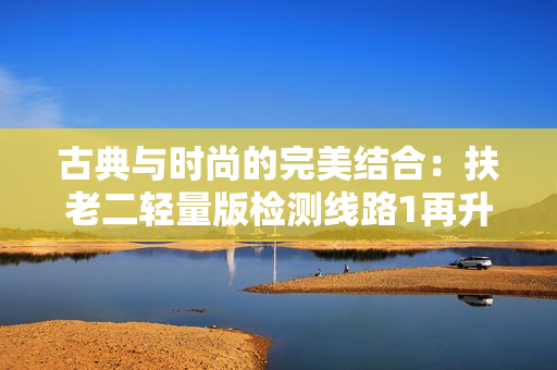 古典與時尚的完美結(jié)合：扶老二輕量版檢測線路1再升級