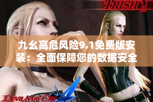 九幺高危風險9.1免費版安裝：全面保障您的數(shù)據(jù)安全