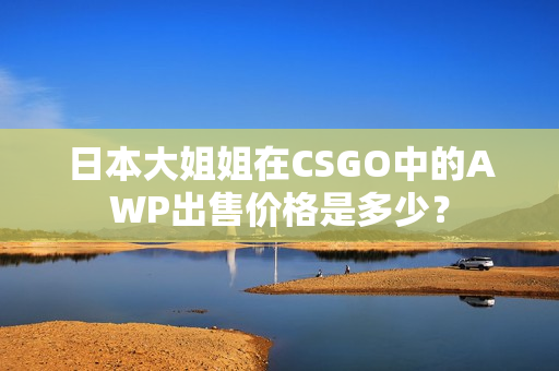 日本大姐姐在CSGO中的AWP出售價格是多少？