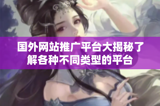 國(guó)外網(wǎng)站推廣平臺(tái)大揭秘了解各種不同類型的平臺(tái)