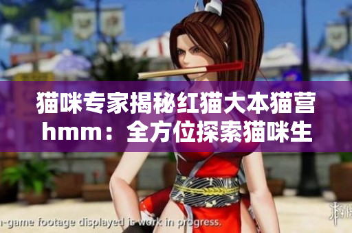 貓咪專家揭秘紅貓大本貓營(yíng)hmm：全方位探索貓咪生活方式