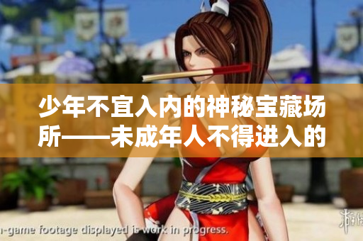 少年不宜入內(nèi)的神秘寶藏場所——未成年人不得進(jìn)入的秘密寶藏閣