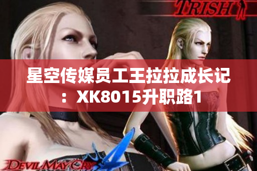 星空傳媒員工王拉拉成長記：XK8015升職路1