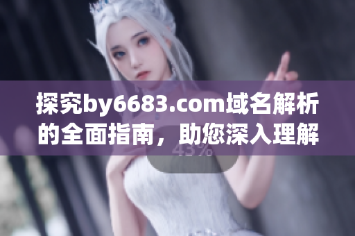 探究by6683.com域名解析的全面指南，助您深入理解域名解析原理及應(yīng)用技巧