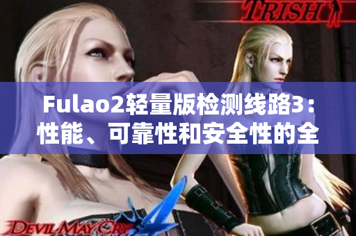 Fulao2輕量版檢測(cè)線路3：性能、可靠性和安全性的全面評(píng)估