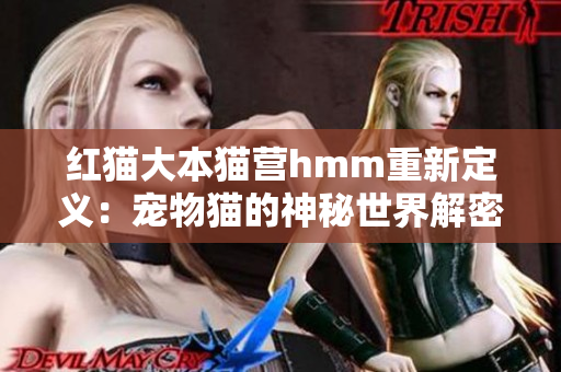 紅貓大本貓營hmm重新定義：寵物貓的神秘世界解密