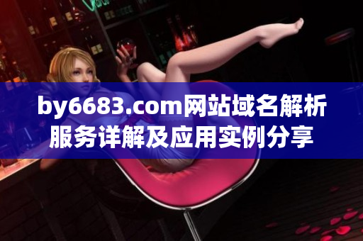 by6683.com網(wǎng)站域名解析服務詳解及應用實例分享
