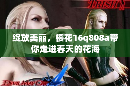 綻放美麗，櫻花16q808a帶你走進春天的花海