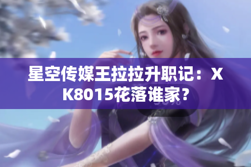 星空傳媒王拉拉升職記：XK8015花落誰家？