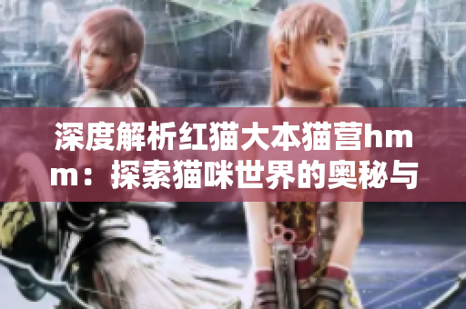 深度解析紅貓大本貓營(yíng)hmm：探索貓咪世界的奧秘與樂趣