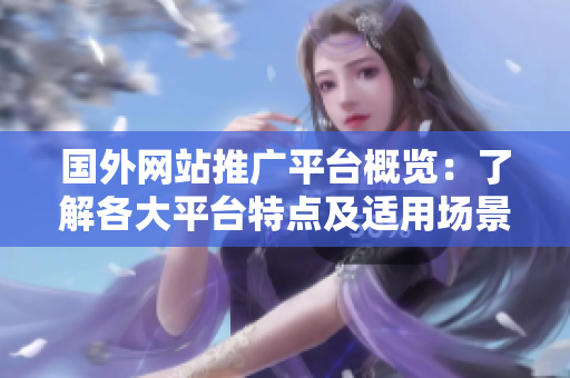 國(guó)外網(wǎng)站推廣平臺(tái)概覽：了解各大平臺(tái)特點(diǎn)及適用場(chǎng)景