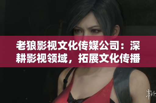 老狼影視文化傳媒公司：深耕影視領域，拓展文化傳播新視野