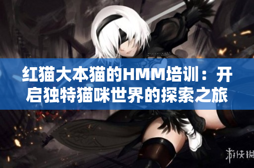 紅貓大本貓的HMM培訓(xùn)：開(kāi)啟獨(dú)特貓咪世界的探索之旅