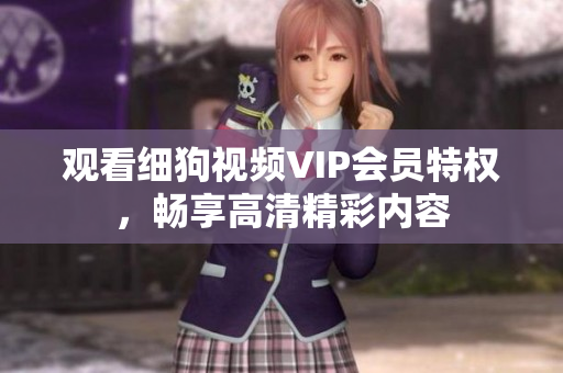 觀看細狗視頻VIP會員特權，暢享高清精彩內(nèi)容