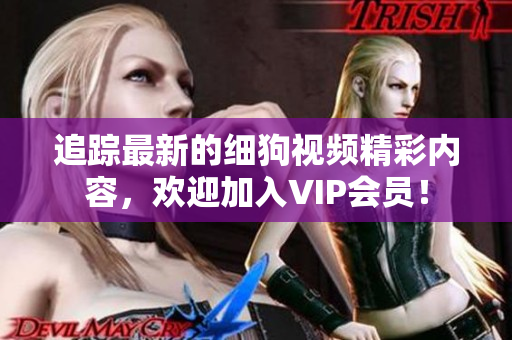 追蹤最新的細(xì)狗視頻精彩內(nèi)容，歡迎加入VIP會(huì)員！