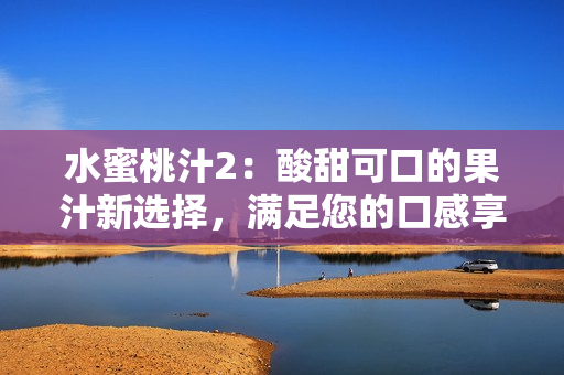 水蜜桃汁2：酸甜可口的果汁新選擇，滿足您的口感享受
