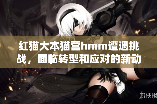 紅貓大本貓營(yíng)hmm遭遇挑戰(zhàn)，面臨轉(zhuǎn)型和應(yīng)對(duì)的新動(dòng)向