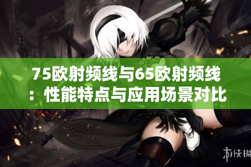 75歐射頻線與65歐射頻線：性能特點(diǎn)與應(yīng)用場(chǎng)景對(duì)比