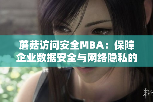 蘑菇訪問安全MBA：保障企業(yè)數(shù)據(jù)安全與網(wǎng)絡(luò)隱私的專業(yè)管理課程