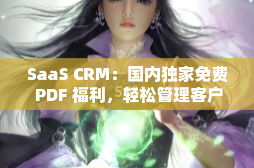 SaaS CRM：國內獨家免費 PDF 福利，輕松管理客戶關系及業(yè)務流程