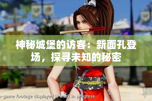神秘城堡的訪客：新面孔登場，探尋未知的秘密