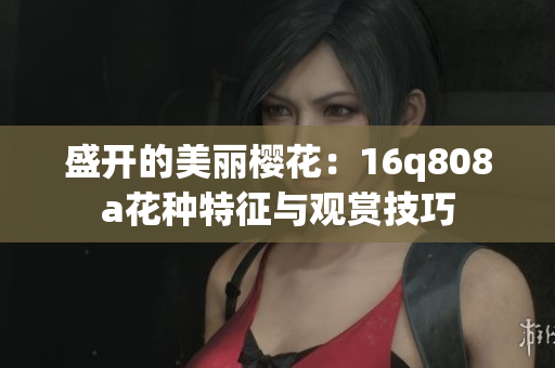 盛開(kāi)的美麗櫻花：16q808a花種特征與觀賞技巧