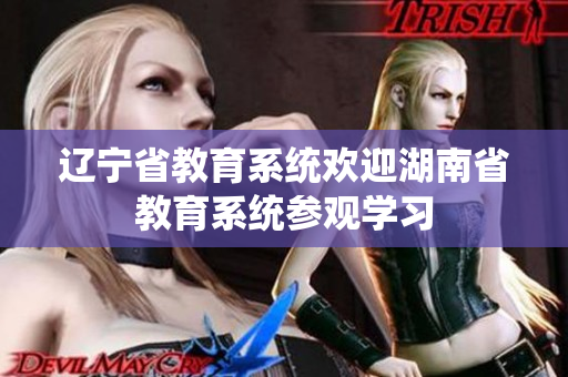 遼寧省教育系統(tǒng)歡迎湖南省教育系統(tǒng)參觀學(xué)習(xí)