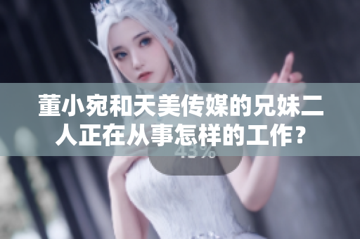 董小宛和天美傳媒的兄妹二人正在從事怎樣的工作？