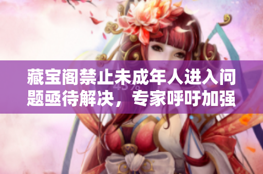 藏寶閣禁止未成年人進(jìn)入問(wèn)題亟待解決，專家呼吁加強(qiáng)監(jiān)管并設(shè)立有效年齡驗(yàn)證措施