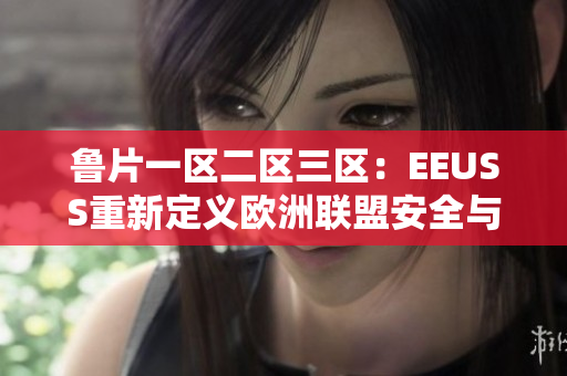 魯片一區(qū)二區(qū)三區(qū)：EEUSS重新定義歐洲聯(lián)盟安全與穩(wěn)定